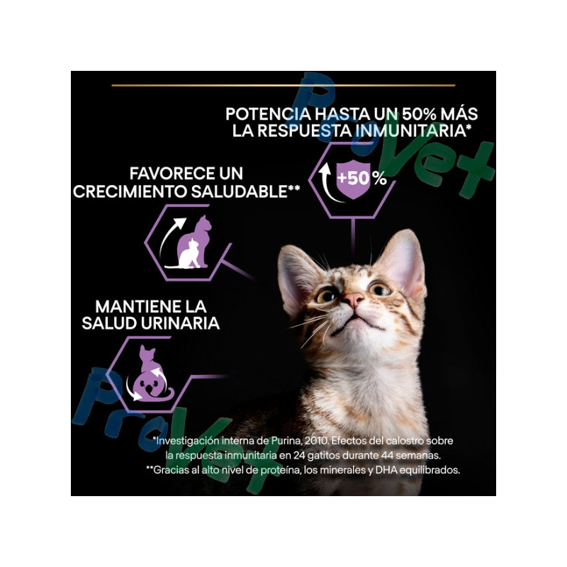 PRO PLAN Cat JUNIOR OPTISTART Frango 400g