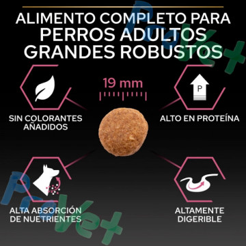 PRO PLAN Adulto Grande Robusto Derma 14kg