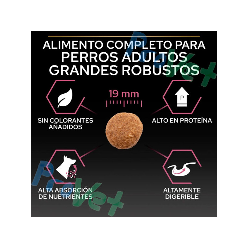 PRO PLAN Adulto Grande Robusto Derma 14kg