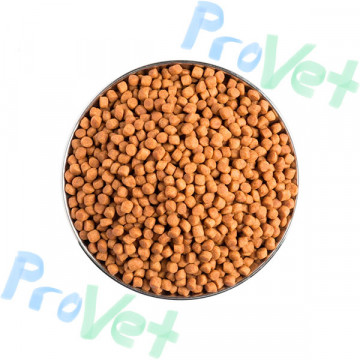 PPVD CAT EN (gastro) 400g