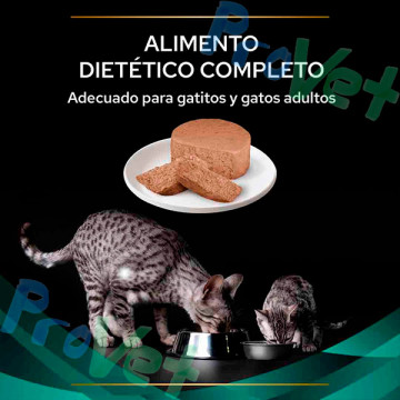 WET PPVD GATO EN (gastro) Mousse 24x195g