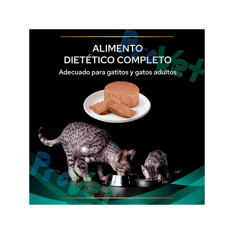 WET PPVD CAT IN (gastro) Mousse 24x195g