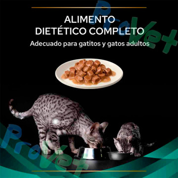 WET PPVD GATO EN (gastro) Pouch Pollo (10x85g)