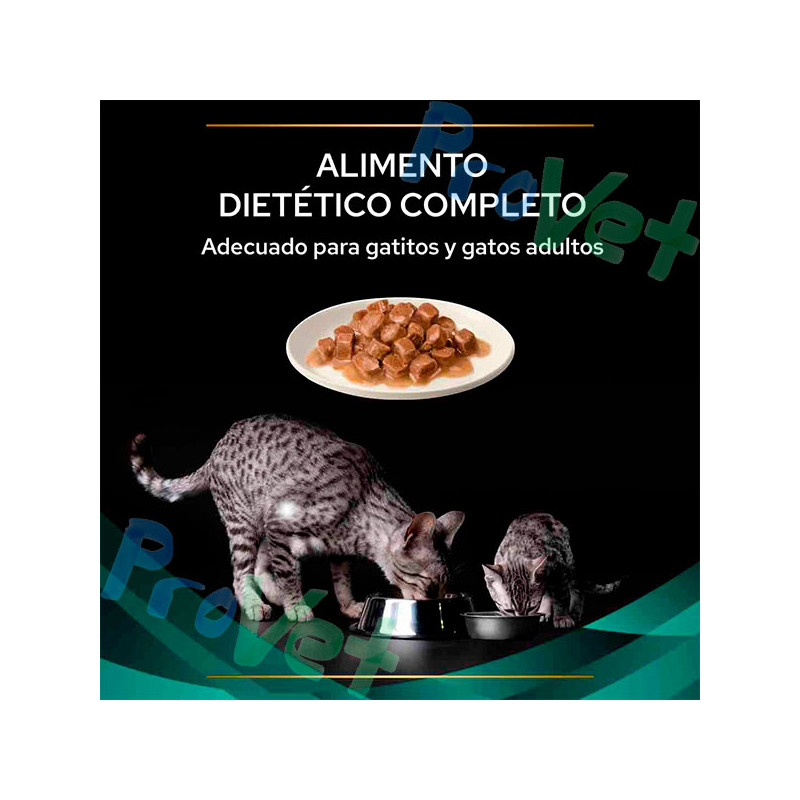 WET PPVD GATO EN (gastro) Pouch Pollo (10x85g)