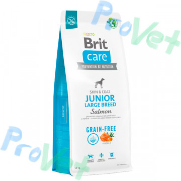 Brit Care Dog GF Junior Large Salmón 3kg