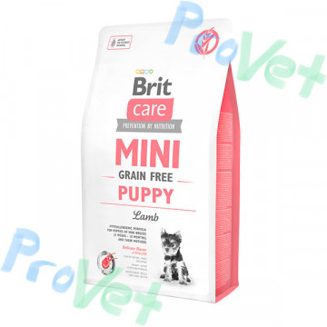 Brit Care Mini GF Cachorro Cordeiro 2kg