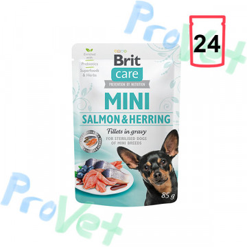 Wet Brit Care Mini GF Salmon y Arenque (24x85gr)