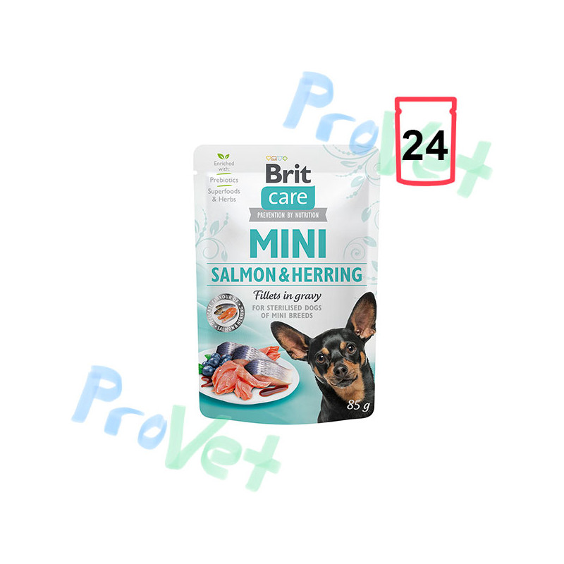 Wet Brit Care Mini GF Salmão e Arenque (24x85gr)