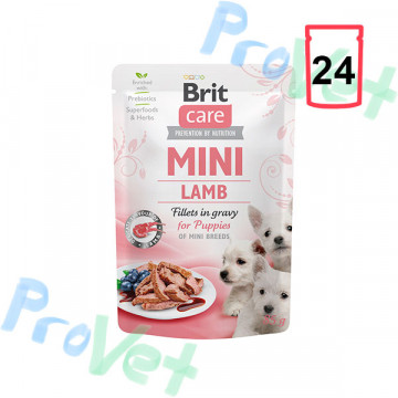 Wet Brit Care Mini GF PUPPY Cordeiro (24x85gr)