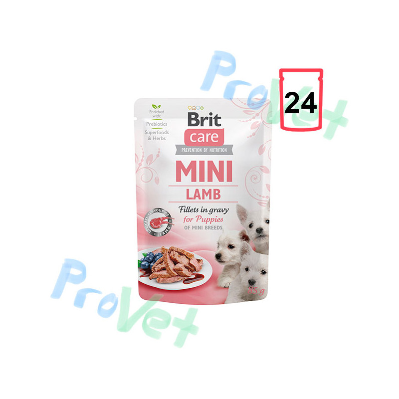 Wet Brit Care Mini GF PUPPY Cordero (24x85gr)