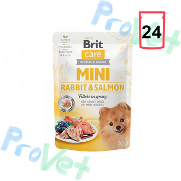 Wet Brit Care Mini GF com coelho e salmão (24x85gr)