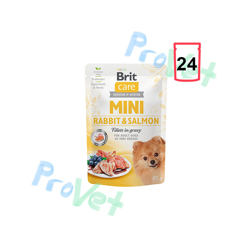 Wet Brit Care Mini GF com coelho e salmão (24x85gr)