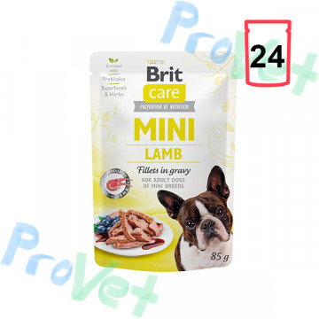 Wet Brit Care Mini GF Cordeiro (24x85gr)