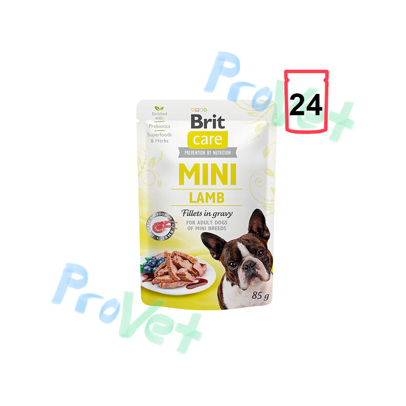 Wet Brit Care Mini GF Cordero (24x85gr)