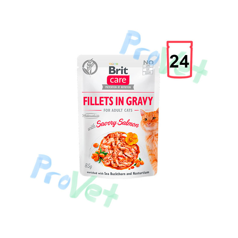 Wet CARE Filetes de salmón (24x85gr)