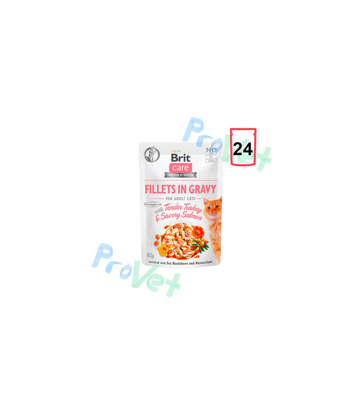 Wet CARE Cat Filetes de pavo y salmón (24x85gr)