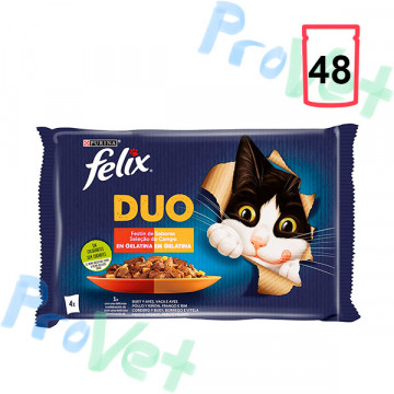 FELIX FANTASTIC Duo Delicious Carne 12(4x85g)