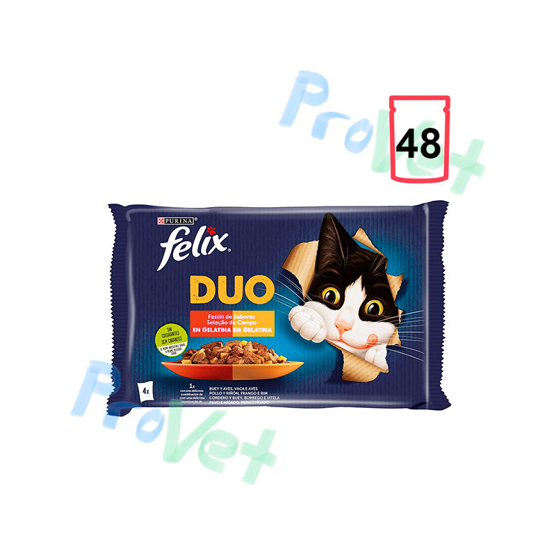 FELIX FANTASTIC Duo Delicious Carne 12(4x85g)