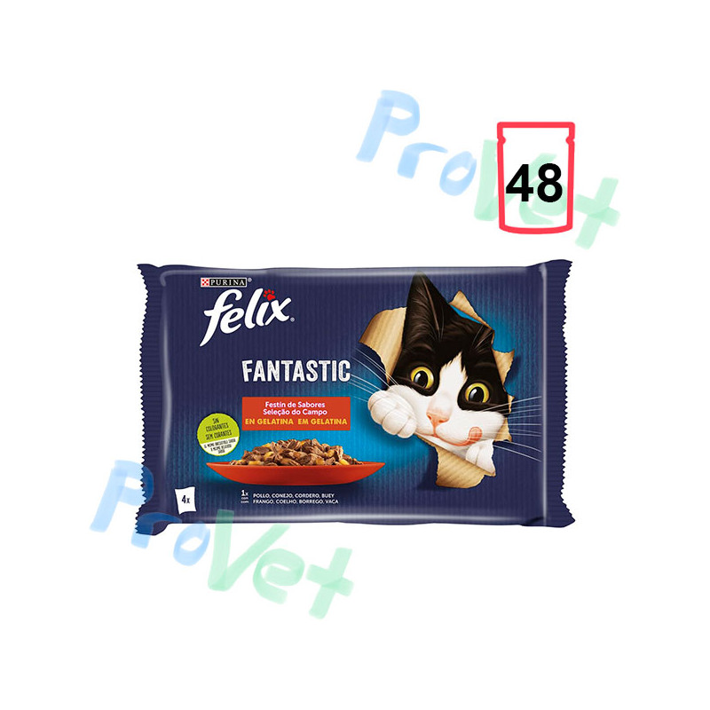 FELIX FANTASTIC Festin de Carnes 12(4x85g)