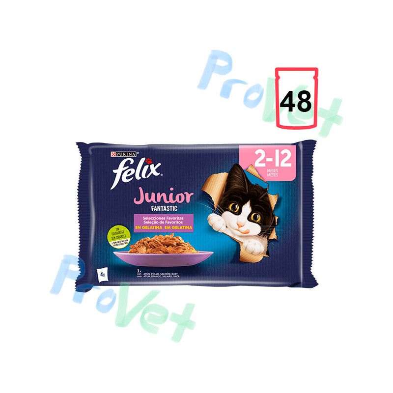 FELIX FANTASTIC JUNIOR Grill Gelatina 12x(4x85g)