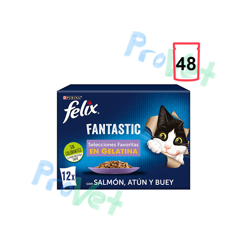 FELIX FANTASTIC selección Favoritas 6x(12x85g)