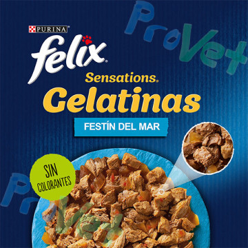 FELIX Sensations Peixe 6x(12x85g)