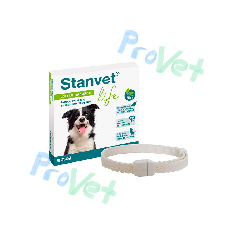 COLLAR STANVET LIFE Perro