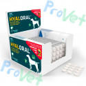 HYALORAL Perros Grandes 360 comprimidos