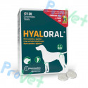 HYALORAL Perros Grandes 120 comprimidos