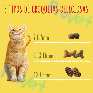 FRISKIES Cat Adulto Buey, Pollo y Verduras 4kg