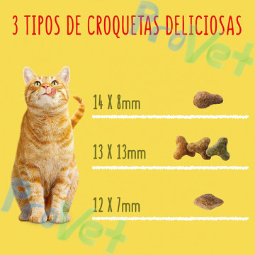 FRISKIES Cat Adulto Conejo, Pollo y Verduras 20kg