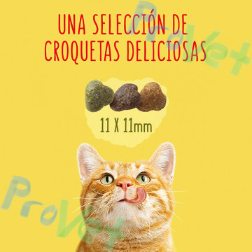 FRISKIES Cat BOLAS DE PELO 1.5kg