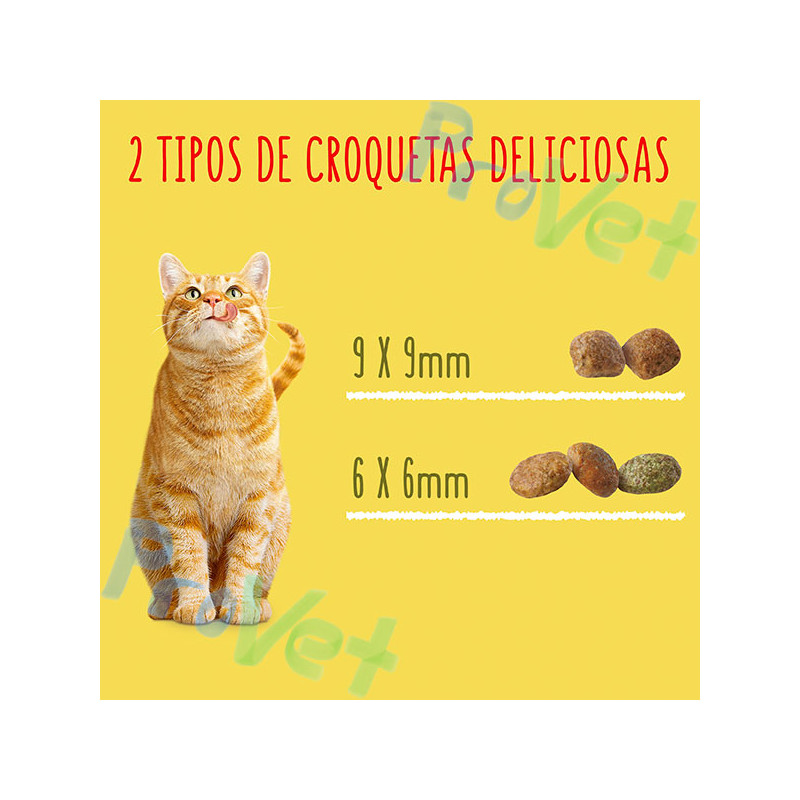 FRISKIES Gato Esterilizado Peru e Legumes 3kg