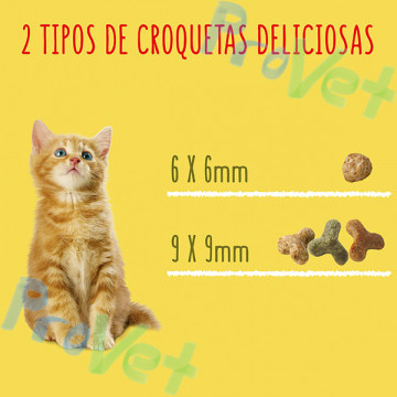 FRISKIES Cat Junior Frango, Peru e Legumes com leite 1,5kg