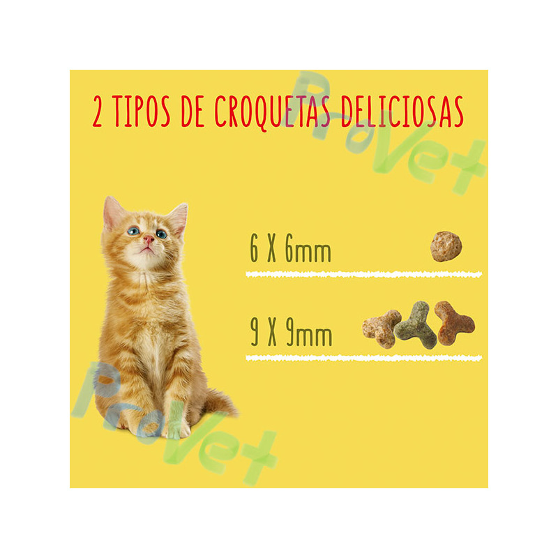 FRISKIES Cat Junior Pollo, Pavo y Verduras con leche 1.5kg