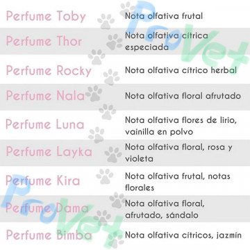 PETUXE PERFUME THOR 100 ML