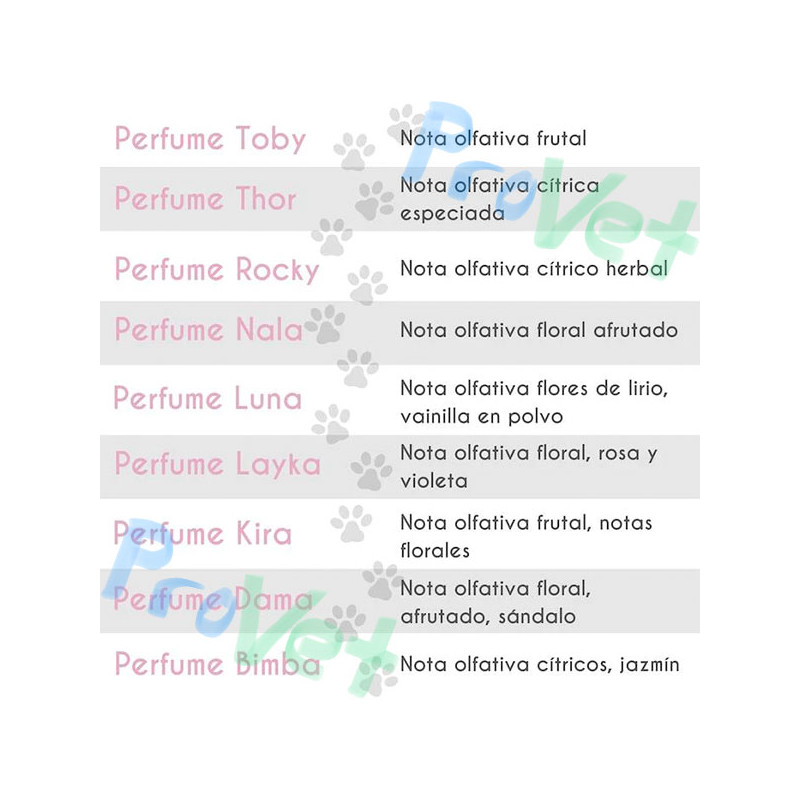 PETUXE PERFUME LAYKA 100 ML