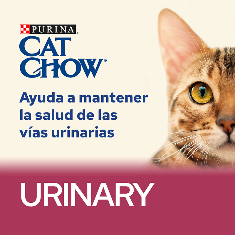 CAT CHOW Urinary Pollo 15kg