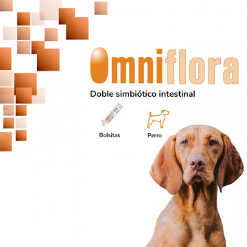 OMNIFLORA Sobres 30x2g - Simbiótico para Perros (Equilibrio Intestinal)