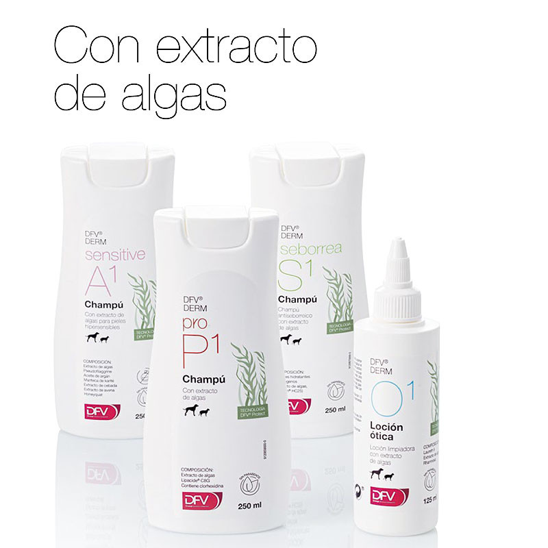 DFV DERM Seborrea S1 Champú 250ml - Perros y Gatos (Antiseborreico)