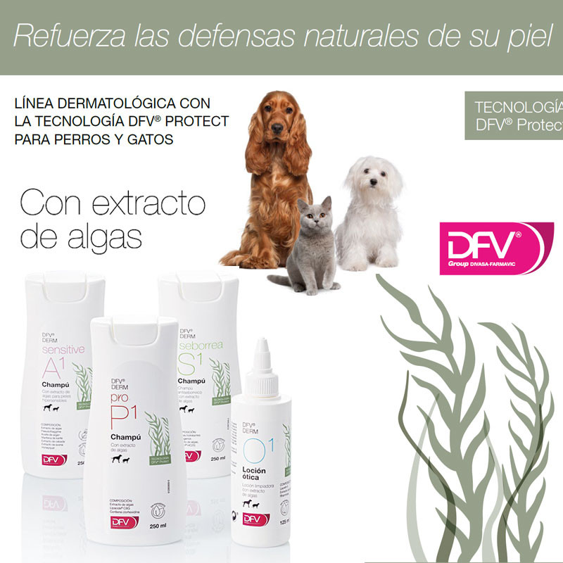 DFV DERM Seborrea S1 Champú 250ml - Perros y Gatos (Antiseborreico)