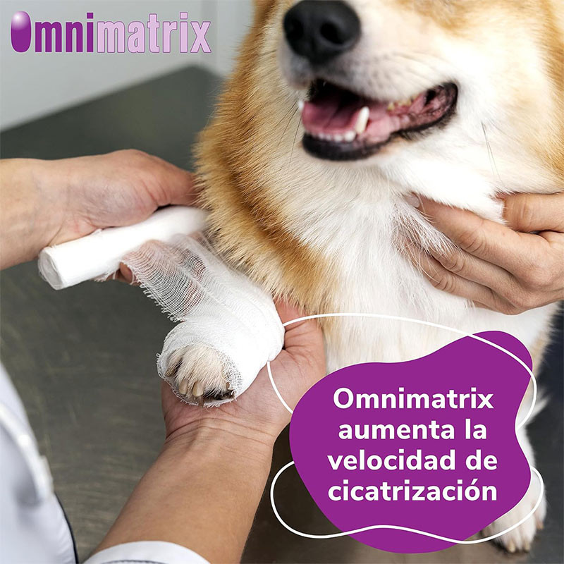 OMNIMATRIX Cicatrización Rápida 20g - Crema para Perros, Gatos y Caballos