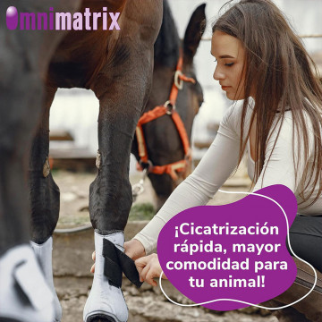 OMNIMATRIX Cicatrización Rápida 20g - Crema para Perros, Gatos y Caballos