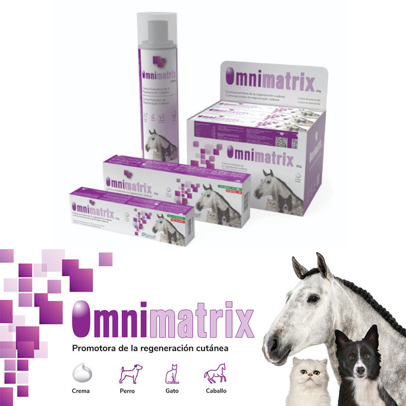 OMNIMATRIX Cicatrización Rápida 20g - Crema para Perros, Gatos y Caballos