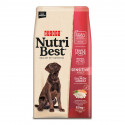 NUTRIBEST Salmão sensível e Arroz 15KG - Alimentação para cães adultos (digestão de iguate)