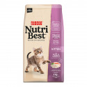 NUTRIBEST Kitten 2KG - Feed for Puppies (crescimento ideal)