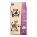NUTRIBEST Kitten 8KG - Alimentação para Filhotes