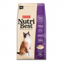 NUTRIBEST Cat Adult 2KG Δ Feed Cats 日本語 Pollo y Arroz