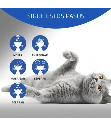 ARTERO CHAMPU 4CATS 250ML