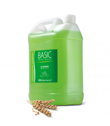 ARTERO CHAMPU BASIC 5L